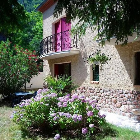 Appartement 48 M2 Avec Jardin Au Rdc Dans Villa A 5 Min A Pied Des Thermes De Vernet-Les-Bains, Location De Samedi A Samedi 外观 照片