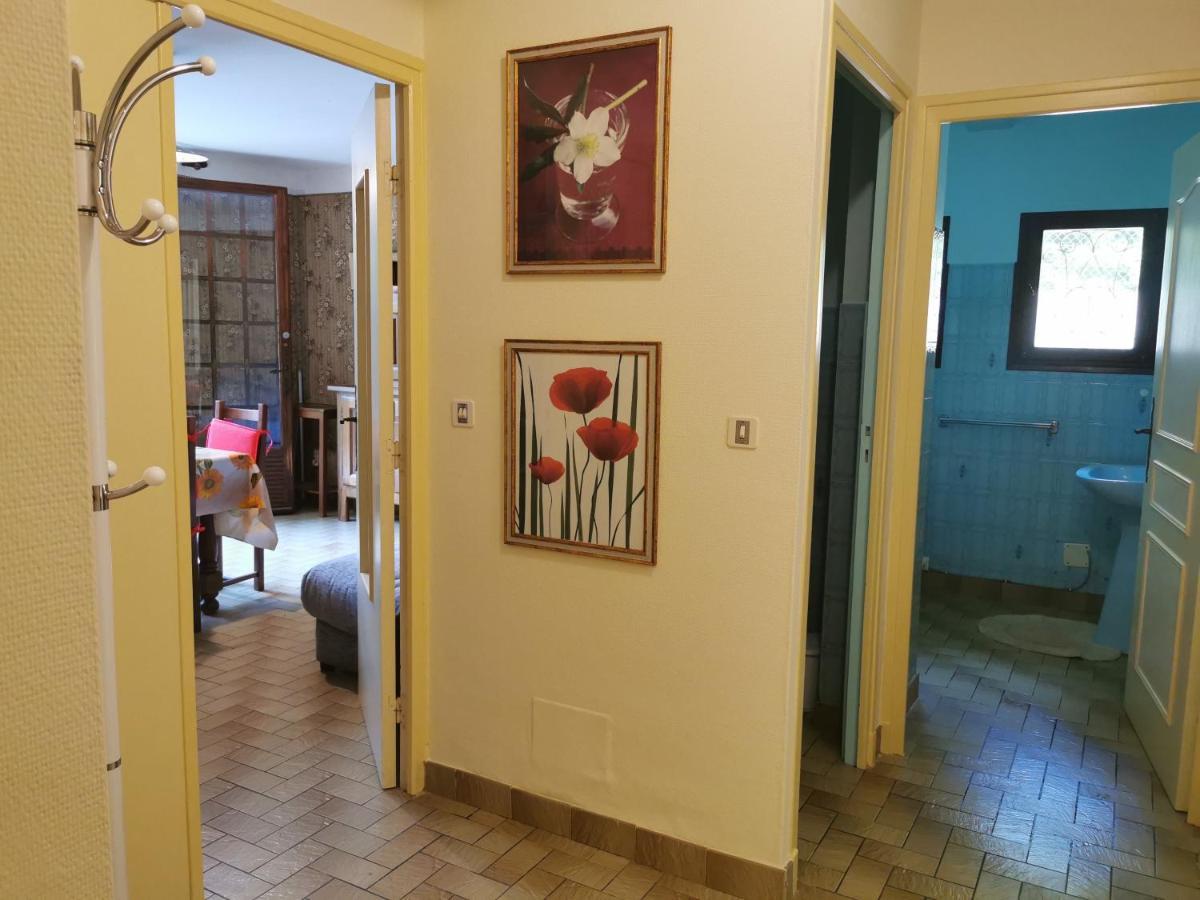 Appartement 48 M2 Avec Jardin Au Rdc Dans Villa A 5 Min A Pied Des Thermes De Vernet-Les-Bains, Location De Samedi A Samedi 外观 照片
