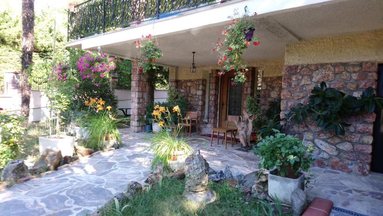 Appartement 48 M2 Avec Jardin Au Rdc Dans Villa A 5 Min A Pied Des Thermes De Vernet-Les-Bains, Location De Samedi A Samedi 外观 照片