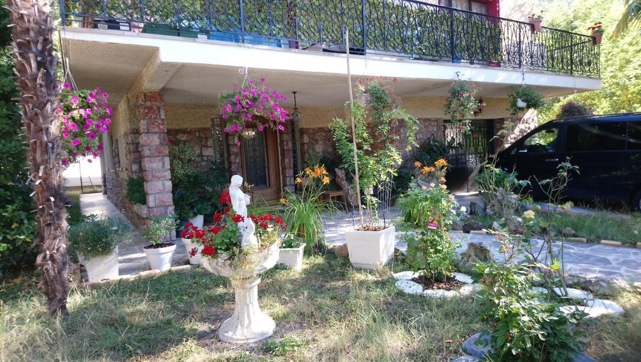 Appartement 48 M2 Avec Jardin Au Rdc Dans Villa A 5 Min A Pied Des Thermes De Vernet-Les-Bains, Location De Samedi A Samedi 外观 照片